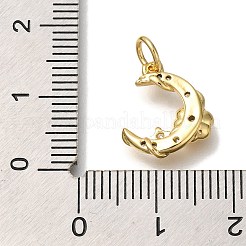 Rack Plating Brass Micro Pave Cubic Zirconia Charms&nbsp;KK-I720-61G