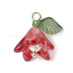 Glass with Acrylic Imitation Pearl Pendants&nbsp;PALLOY-TA00097