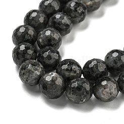 Natural Larvikite Beads Strands&nbsp;G-E571-A09-03