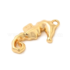 Brass Charms&nbsp;KK-C117-01B-G