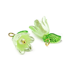Acrylic Pendants&nbsp;LS-OACR-D012-01E