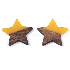 Resin & Walnut Wood Pendants&nbsp;RESI-T023-23