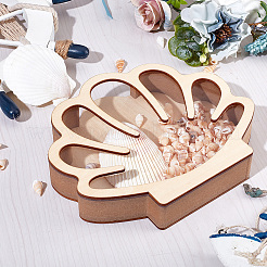 Shell Shaped Wooden Sea Shell Storage Display Cases with Visible Window&nbsp;ODIS-WH20012-01
