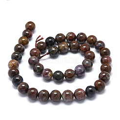 Natural Pietersite Beads Strands&nbsp;G-O201A-14C