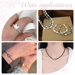 8Pcs 2 Styles Natural White Shell & Natural Black Lip Shell Beads&nbsp;SSHEL-HY0001-03