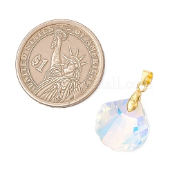 Brass Glass Pendants&nbsp;PALLOY-JF05023