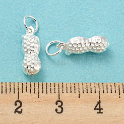 925 Sterling Silver Pendants&nbsp;STER-B002-10S