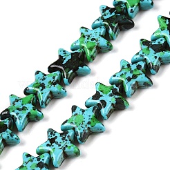 Spray Painted Synthetic Turquoise Beads Strands&nbsp;UNKW-T001-11B