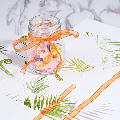 Organza Ribbon&nbsp;RS6mmY024