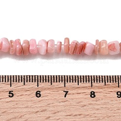 Natural Freshwater Shell Beads&nbsp;SHEL-B003-01N
