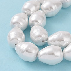 Shell Pearl Beads Strands&nbsp;BSHE-F013-11A