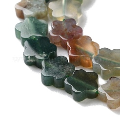 Natural Indian Agate Beads Strands&nbsp;G-B138-C04-01