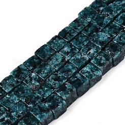 Natural Sesame Jasper/Kiwi Beads Strands&nbsp;G-T139-6x6-14A