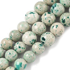 Natural Fossil Graduated Beads Strands&nbsp;G-F830-A03-01C
