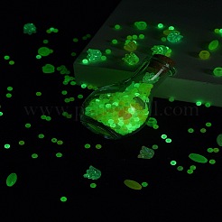 Luminous Acrylic Beads Wish Bottle DIY Making Kits&nbsp;DIY-FS0007-58