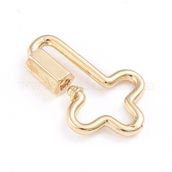 Brass Screw Carabiner Lock Charms&nbsp;X-ZIRC-I041-04G
