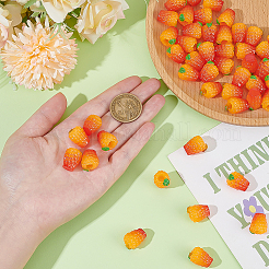 Resin Orange Display Decorations&nbsp;DJEW-ME0001-03B