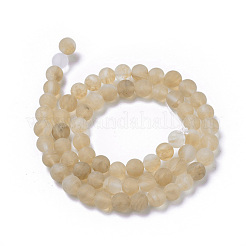 Coffee Watermelon Stone Glass Beads Strands&nbsp;G-D687-8mm