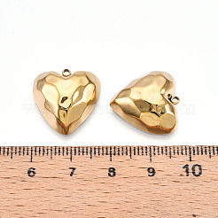 304 Stainless Steel Pendants&nbsp;STAS-N109-04G