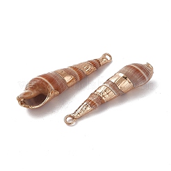 Electroplated Natural Cowrie Shell Pendants&nbsp;SHEL-F003-11
