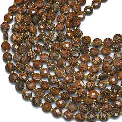 Natural Starburst Jasper Beads Strands&nbsp;G-K389-B24-01