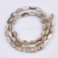Freshwater Shell Beads Strands&nbsp;SHEL-S276-34B