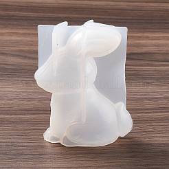 3D Figurine Silicone Molds&nbsp;LS-DIY-E058-02G