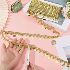 Polyester Metallic Thread & Sequins Lace Tassel Ribbon&nbsp;OCOR-WH0105-237A