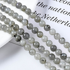 Natural Labradorite Round Beads Strands&nbsp;X-G-S158-6mm