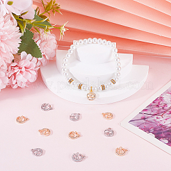 12Pcs 2 Colors Brass Micro Pave Cubic Zirconia Charms&nbsp;KK-BBC0014-88