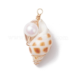 3Pcs Natural Shell Pendants&nbsp;PALLOY-JF03226-01
