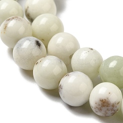 Natural Dendritic Jasper Beads Strands&nbsp;G-H298-A15-02