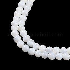 Natural Cultured Freshwater Shell Beads Strands&nbsp;BSHE-H109-03A