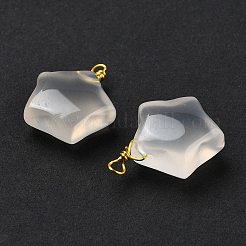 Natural Agate Star Pendants&nbsp;G-U025-03G