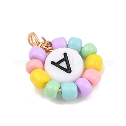 26Pcs Glass Seed & Acrylic Pendants&nbsp;PALLOY-JF04486