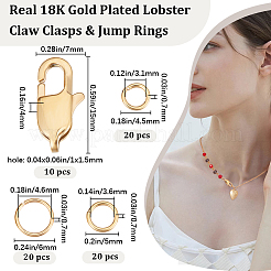 10Pcs Ion Plating(IP) 304 Stainless Steel Lobster Claw Clasps&nbsp;DIY-BBC0001-46