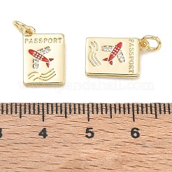 Brass Micro Pave Clear Cubic Zirconia with Enamel Charms&nbsp;CU-CBA01AA-14B-G