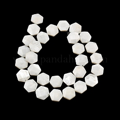 Natural White Shell Beads Strands&nbsp;SHEL-G022-01