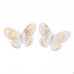 Transparent Acrylic Pendants&nbsp;TACR-N014-009-B01