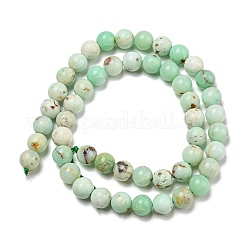 Natural Green Opal Beads Strands&nbsp;G-R494-A08-03