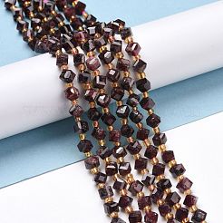 Natural Garnet Beads Strands&nbsp;G-P463-38