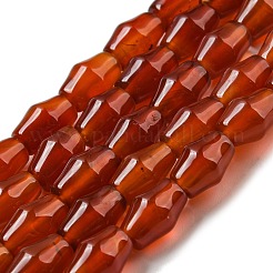 Natural Carnelian Beads Strands&nbsp;G-A223-C09-01