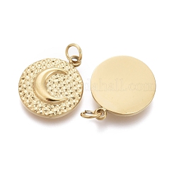 Ion Plating(IP) 316 Surgical Stainless Steel Charms&nbsp;STAS-F256-043G