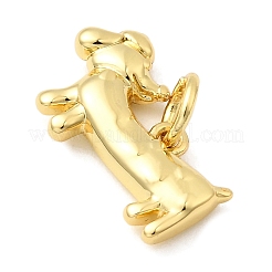 Brass Pendants&nbsp;KK-I364-02G-04