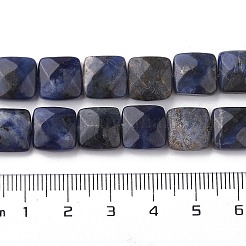 Natural Sodalite Beads Strands&nbsp;G-K359-B07-01