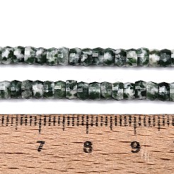 Natural Green Spot Jasper Beads Strands&nbsp;G-Q606-46A-07
