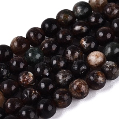 Natural Biotite Beads Strands&nbsp;G-Q616-01A