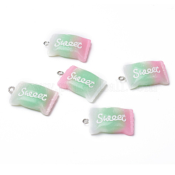 Resin Pendants&nbsp;LS-RESI-TAC0002-19A