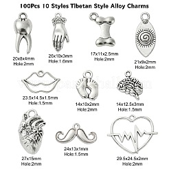 100Pcs 10 Styles Tibetan Style Alloy Charms&nbsp;TIBEP-CJ0002-51