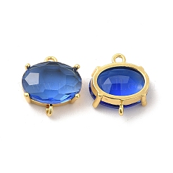 Transparent Glass Connector Charms&nbsp;KK-H438-09G